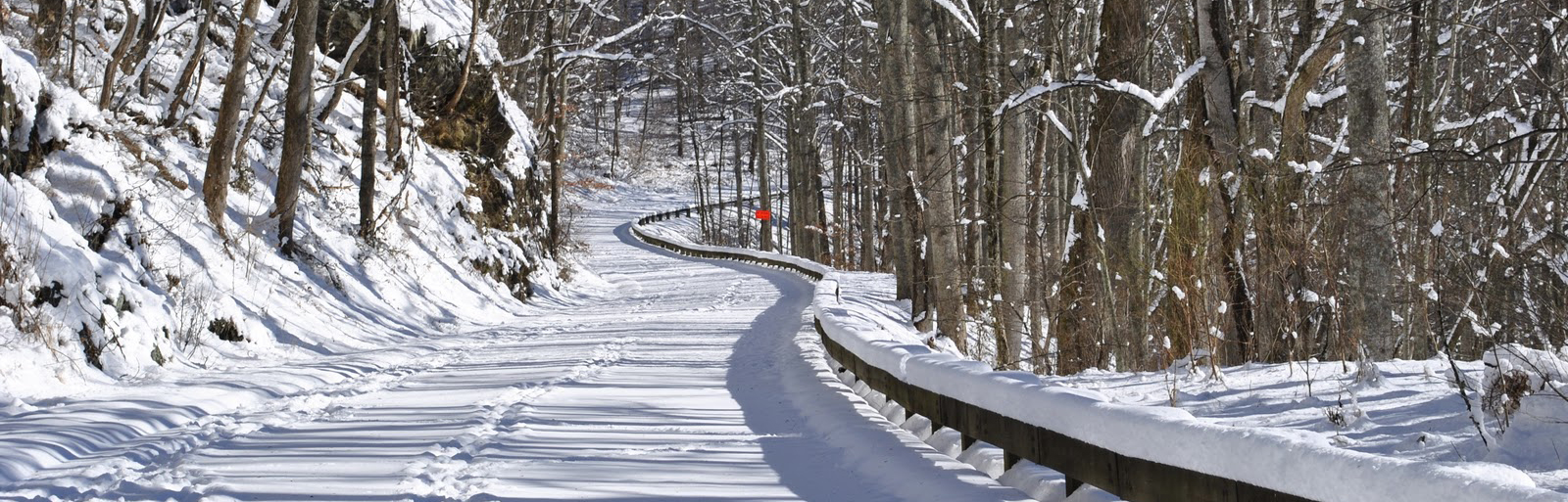 Blue Ridge Parkway Snow (1)