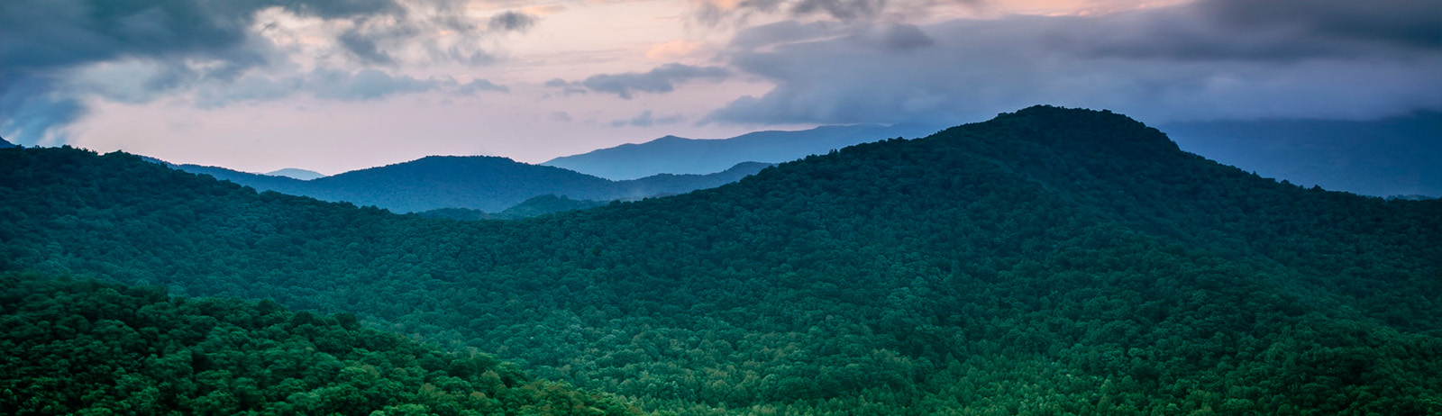 Family Reunion NC Mountains Group Lodging